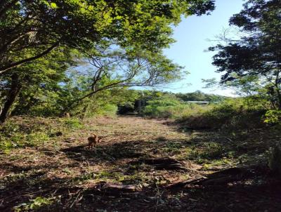 Terreno para Venda, em Imaru, bairro 