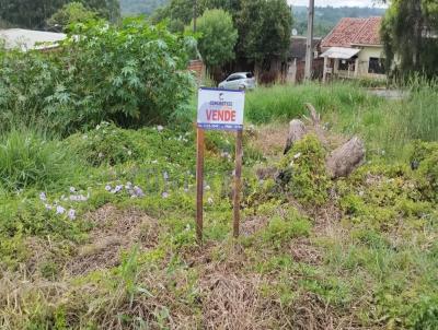 Lote para Venda, em Campo Mouro, bairro Jardim Flor do Campo