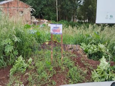 Lote para Venda, em Campo Mouro, bairro Jardim Flor do Campo