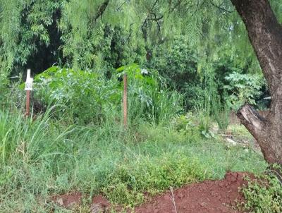 Lote para Venda, em Campo Mouro, bairro Jardim Flor do Campo