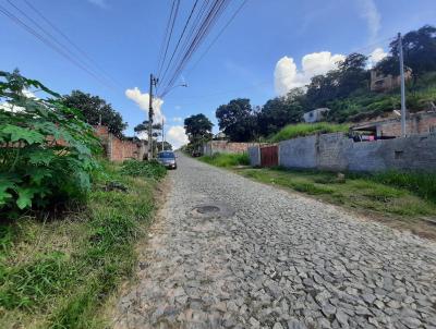 Lote para Venda, em Ribeiro das Neves, bairro Jardim Colonial