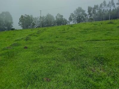 Stio para Venda, em Cssia dos Coqueiros, bairro RURAL, 4 dormitrios