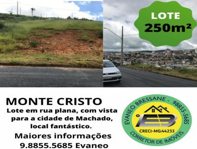 Terreno para Venda, em , bairro Monte Cristo