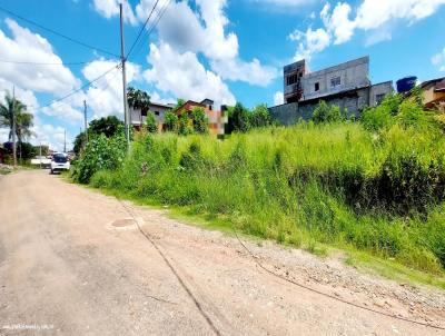 Terreno para Venda, em Jarinu, bairro Vila Primavera