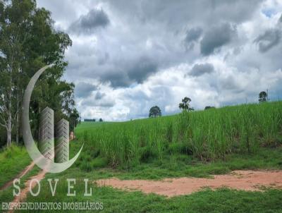 Fazenda para Venda, em Ribeiro Bonito, bairro rural, 3 dormitrios, 2 banheiros