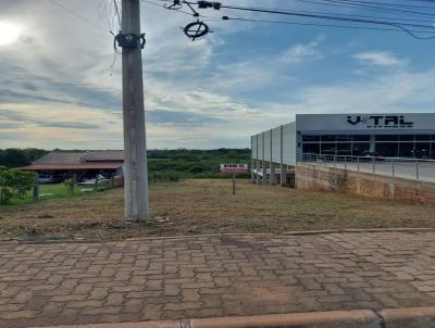 Terreno para Venda, em Triunfo, bairro Centro