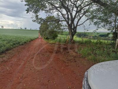 Fazenda para Venda, em Altinpolis, bairro Fazenda para Venda Altinpolis SP