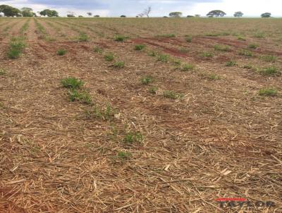 Fazenda para Venda, em Santa Vitria, bairro RURAL