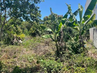 Terreno para Venda, em Florianpolis, bairro So Joo do Rio Vermelho