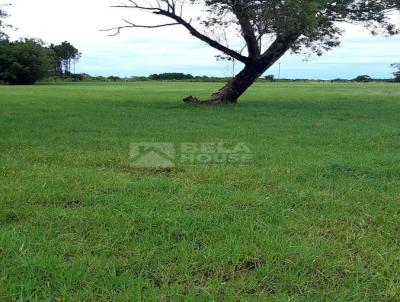 Stio para Venda, em Cidreira, bairro Zona Rural