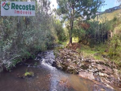 Stio para Venda, em Cambar do Sul, bairro CAMBAR DO SUL