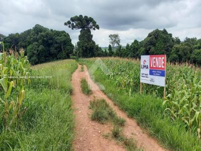 rea Rural para Venda, em Campo Largo, bairro Colnia Figueiredo