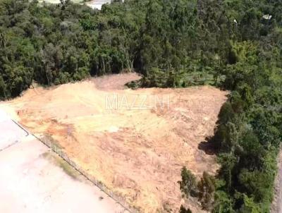 Terreno para Venda, em Lontras, bairro BR-470