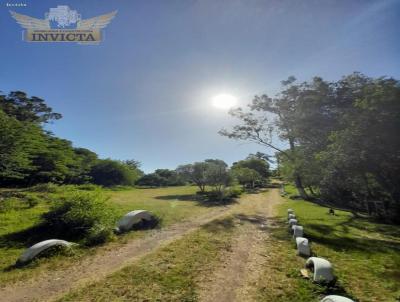 Chcara para Venda, em Santana do Livramento, bairro Passo do mingote