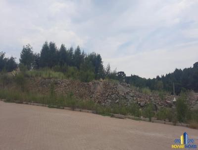 Terreno para Venda, em Garibaldi, bairro Alfndega