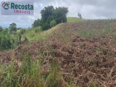 Chcara para Venda, em Santo Antnio da Patrulha, bairro COSTA DA MIRAGUAIA