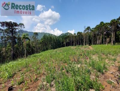 Chcara para Venda, em So Francisco de Paula, bairro ESTRADA DA SAMAMBAIA