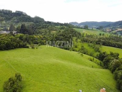 Stio para Venda, em Rio do Sul, bairro Barra do Trombudo