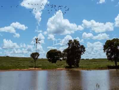 Fazenda para Venda, em Verdelndia, bairro ZONA RURAL