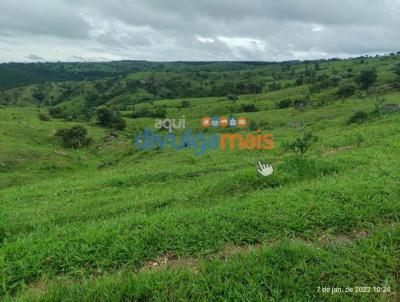 Fazenda para Venda, em Nova Aurora, bairro Zona rural