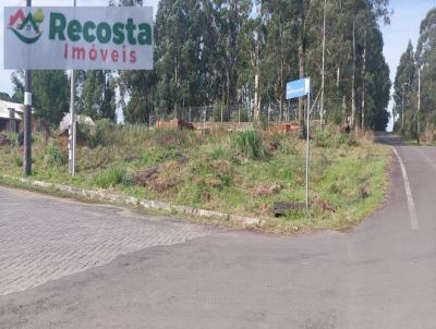 Terreno para Venda, em So Francisco de Paula, bairro CIP