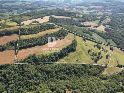 rea Rural para Venda, em Marcelino Ramos, bairro SUZANA, 3 dormitrios, 1 banheiro, 2 vagas