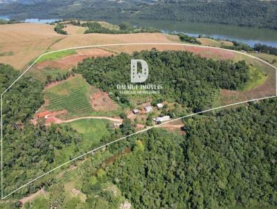 rea Rural para Venda, em Marcelino Ramos, bairro interior, 6 dormitrios, 3 banheiros, 3 vagas