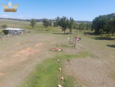 Terreno para Venda, em Santana do Livramento, bairro Km 5