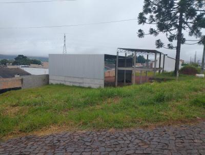 Terreno para Venda, em Francisco Beltro, bairro LOTEAMENTO PINHEIROS