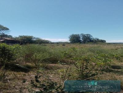 Terreno para Venda, em Viamo, bairro Passo do Vigrio