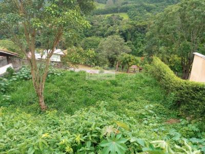 Terreno em Condomnio para Venda, em Itatiba, bairro Jardim das Paineiras