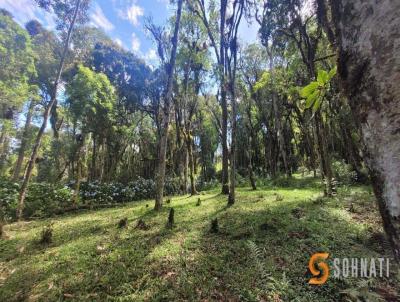 Chcara para Venda, em So Jos dos Pinhais, bairro Borda do Campo