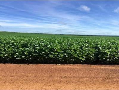 Fazenda para Venda, em Alto Araguaia, bairro Centro