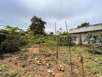 Terreno para Venda, em Trememb, bairro Loteamento Village