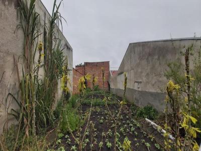 Terreno para Venda, em So Jos dos Pinhais, bairro In