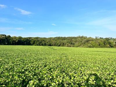 rea Rural para Venda, em Espumoso, bairro Interior