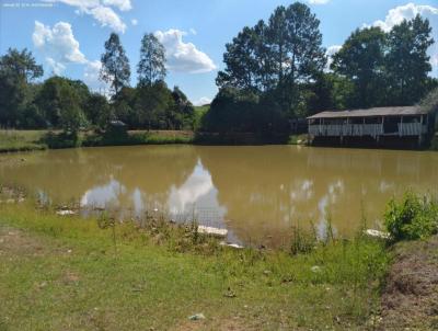 Stio para Venda, em Marau, bairro .