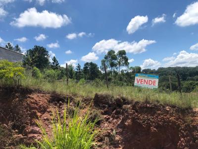 Terreno para Venda, em Jarinu, bairro Vila Yp