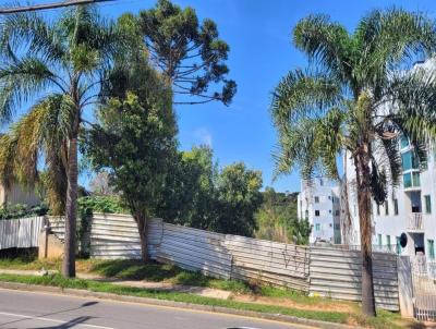 Terreno para Venda, em So Jos dos Pinhais, bairro Bom Jesus