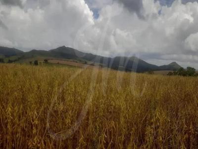 Fazenda para Venda, em Piumhi, bairro FAzenda para Venda Municipio de Piumhi