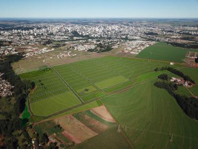 Terreno para Venda, em Cascavel, bairro Bella Vita