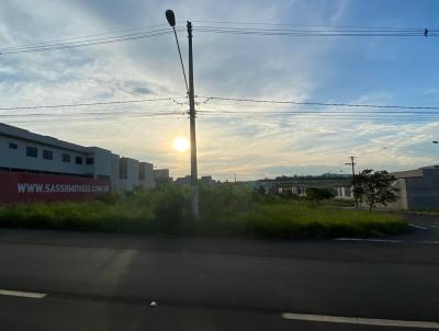 Terreno Comercial para Venda, em Limeira, bairro Jardim Cidade Universitria I