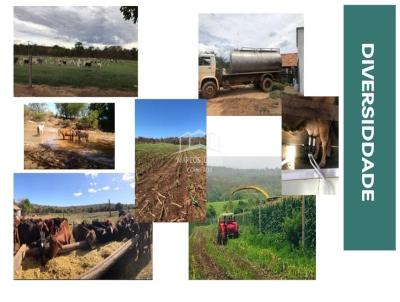 Fazenda para Venda, em So Joo do Pacu, bairro ZONA RURAL