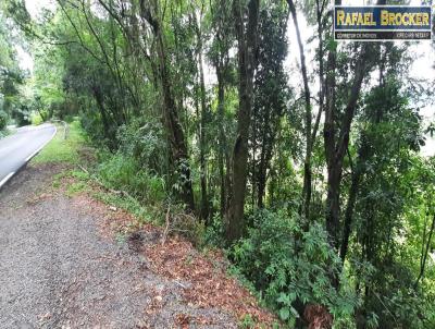 Stio para Venda, em Trs Coroas, bairro Rodeio Bonito