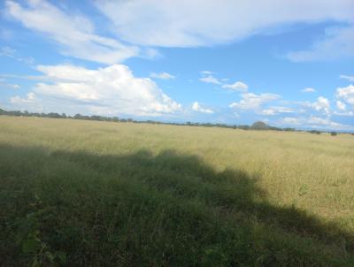 Fazenda para Venda, em Jaba, bairro , 1 dormitrio, 1 banheiro