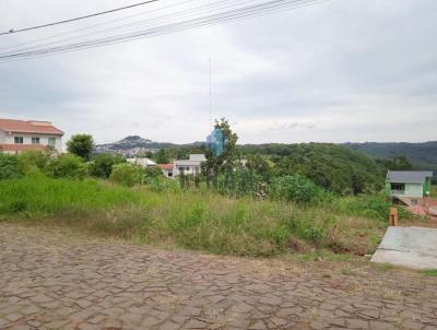 Terreno para Venda, em Concrdia, bairro Aliana