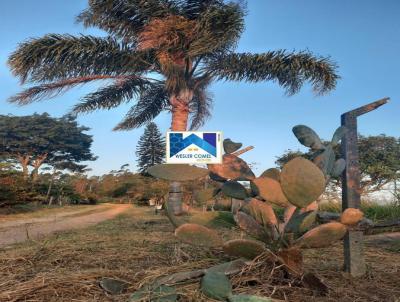 rea Rural para Venda, em Mogi das Cruzes, bairro BIRITIBA USSU, 3 dormitrios, 2 banheiros, 1 sute