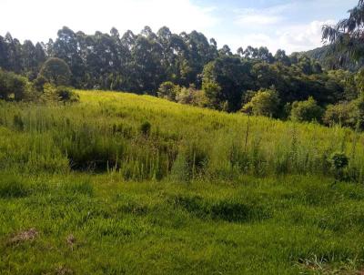 Stio para Venda, em Flor da Serra do Sul, bairro .