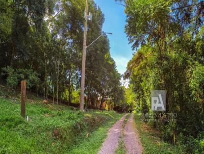 Terreno para Venda, em Morro Reuter, bairro Centro