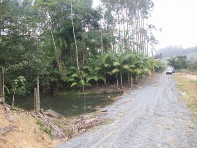 Chcara para Venda, em Guaramirim, bairro Jacu - Au